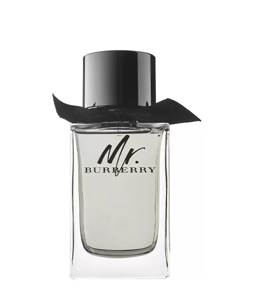 Mr. Burberry EDT